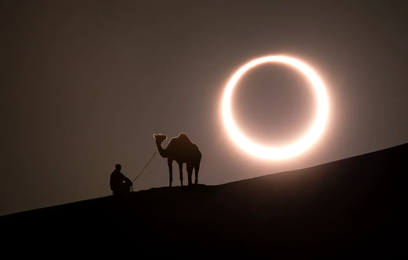 Фото обои man, camel, solar eclipse