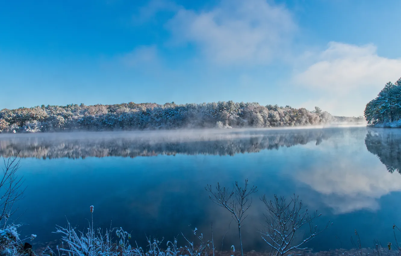 Фото обои зима, иней, лес, облака, снег, ветки, туман, озеро