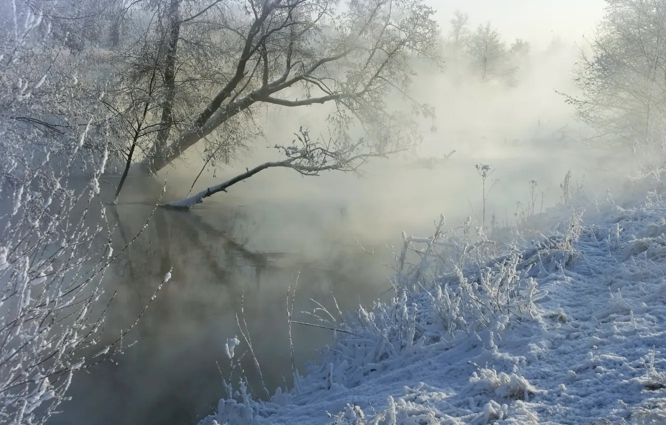 Фото обои зима, снег, туман, река