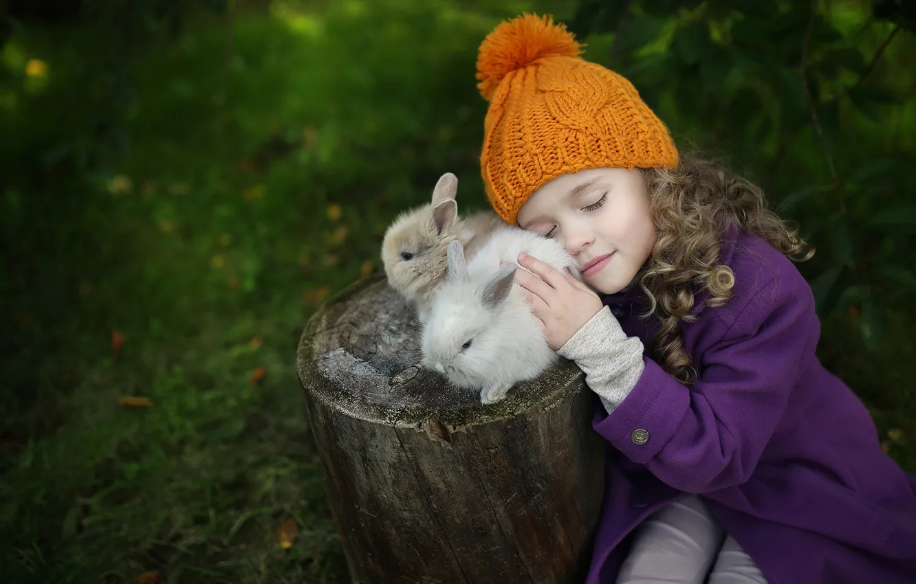 Фото обои пень, девочка, кролики, кудри, шапочка