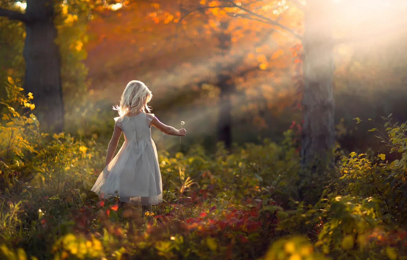 Фото обои осень, лес, природа, одуванчик, девочка