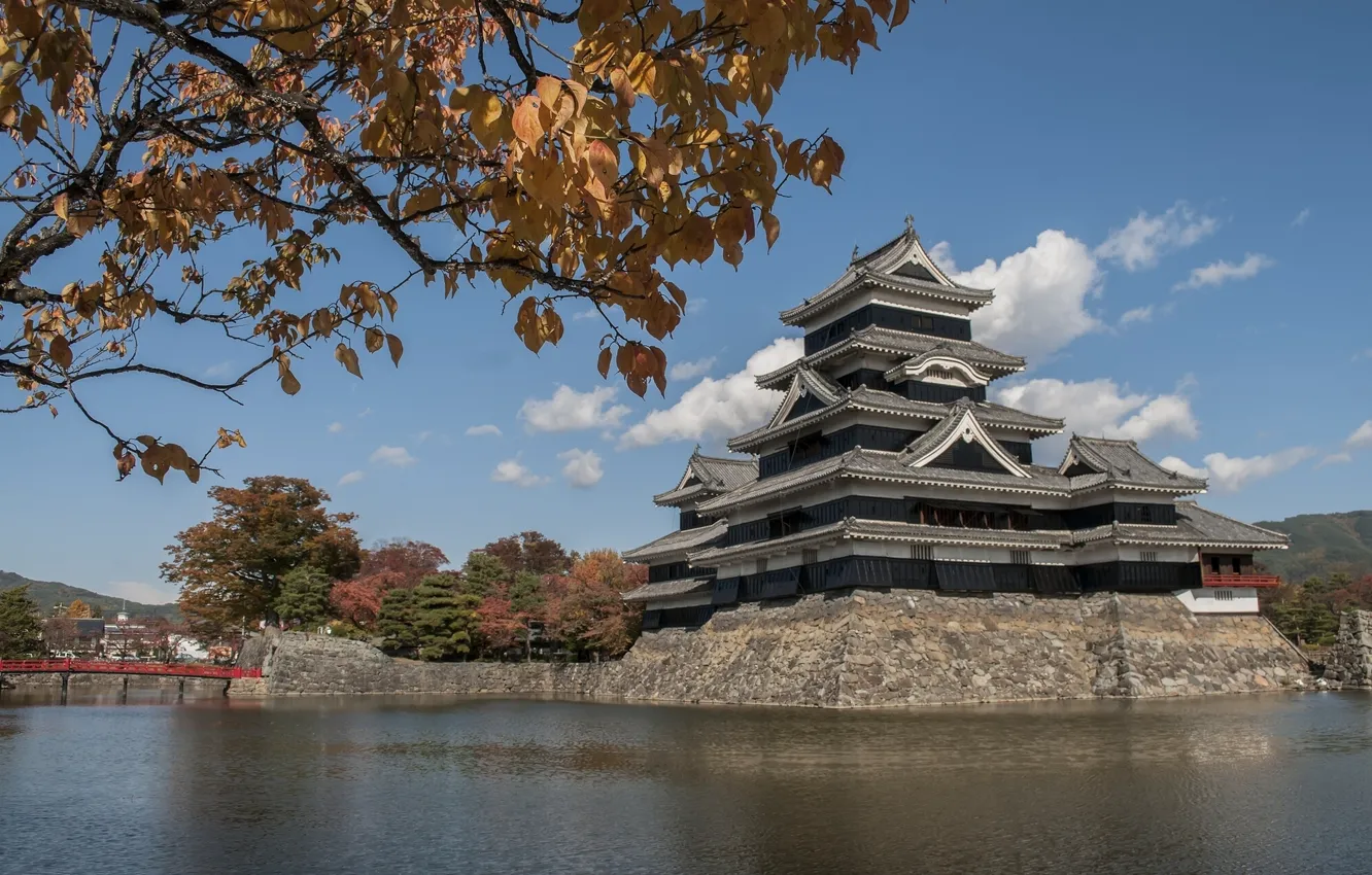 Фото обои листья, вода, ветки, Япония, Japan, Matsumoto, Мацумото, Замок Мацумото