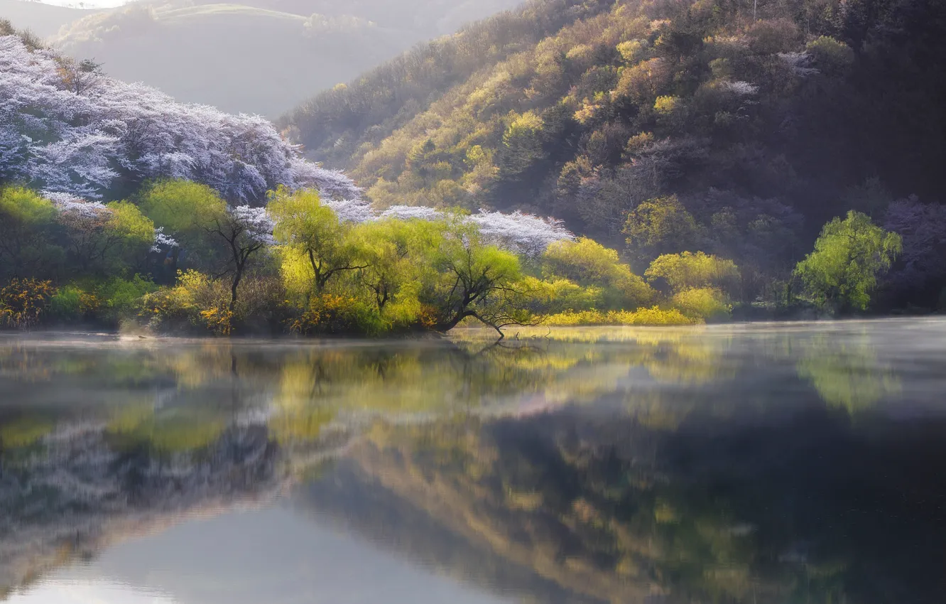 Фото обои природа, озеро, река, весна, Япония