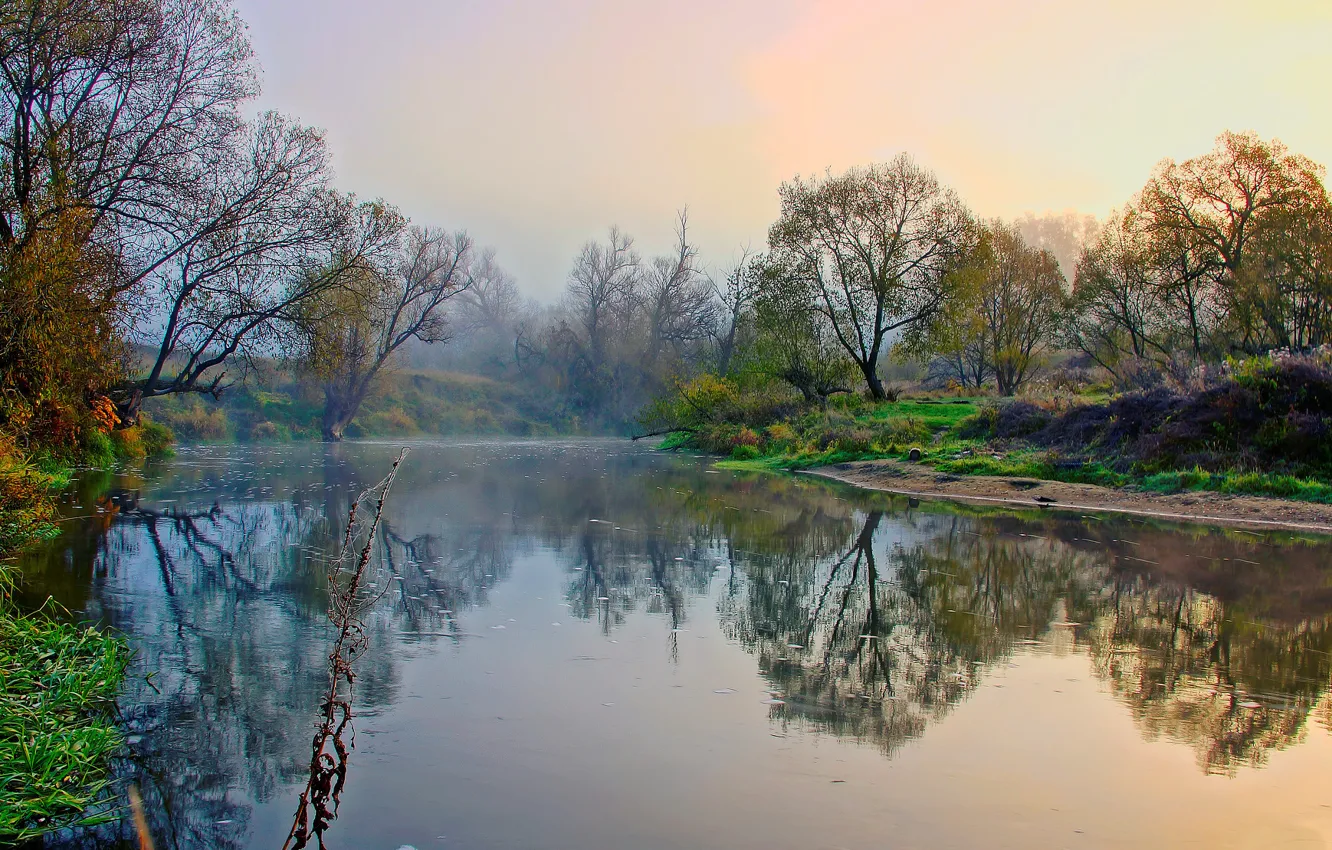 Фото обои осень, деревья, туман, река, берега