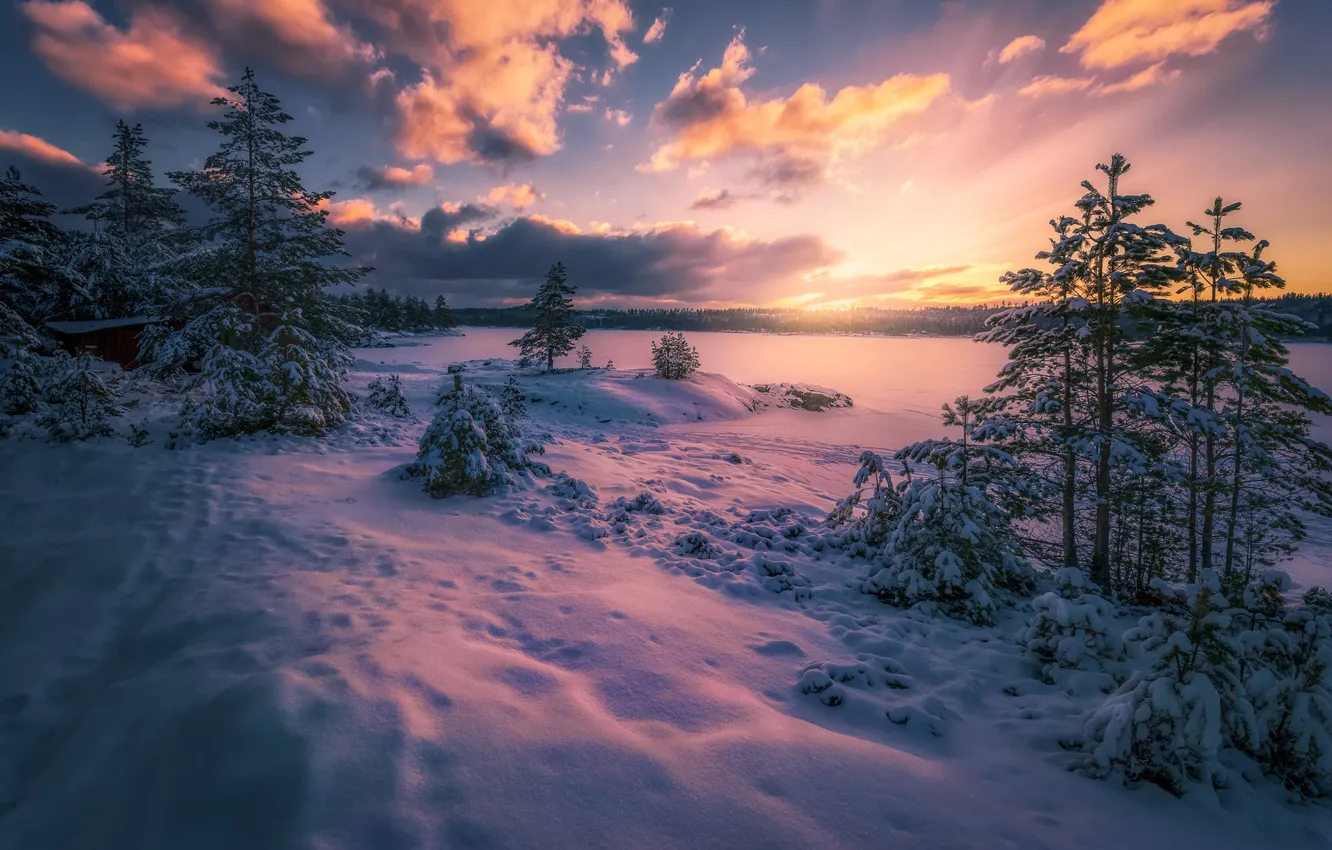 Фото обои снег, Норвегия, Norway, Ringerike