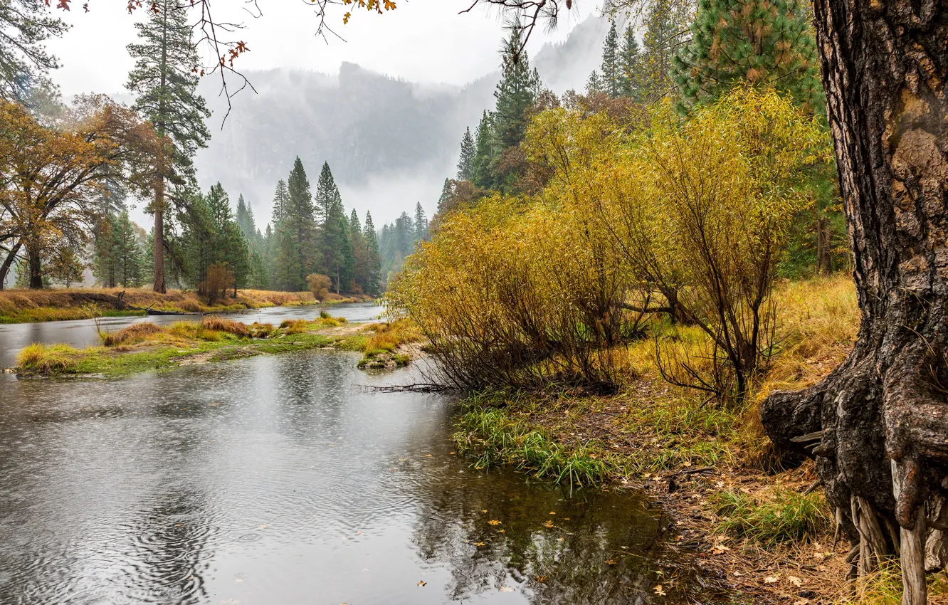Фото обои осень, лес, деревья, горы, туман, река, скалы, утро