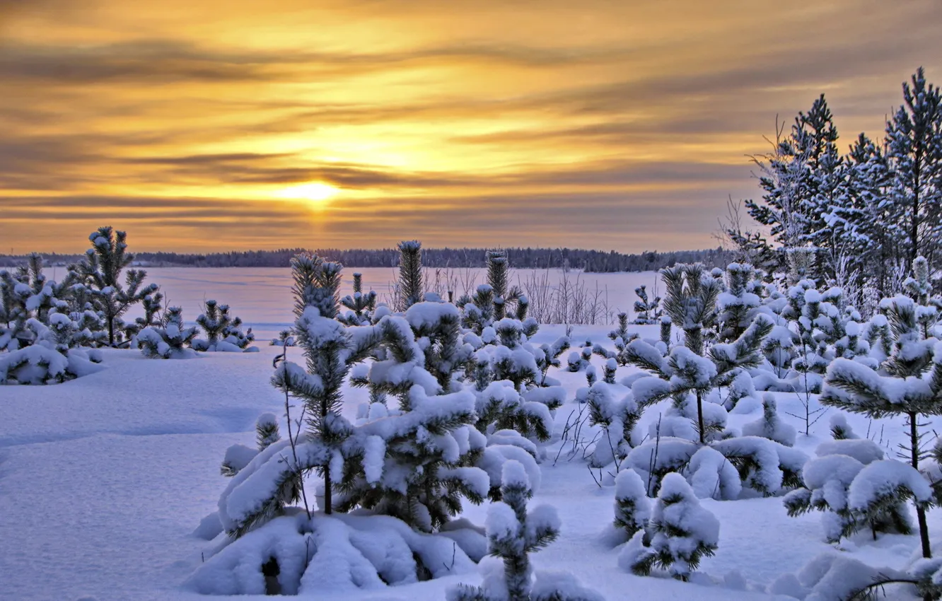 Фото обои зима, пейзаж, закат