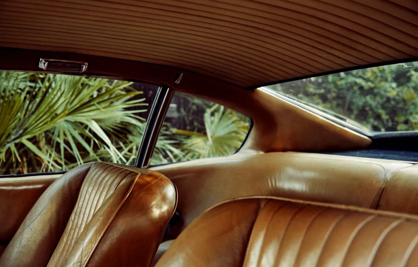 Фото обои пальма, автомобиль, салон, Christoffer Rudquist, Aston Martin DB