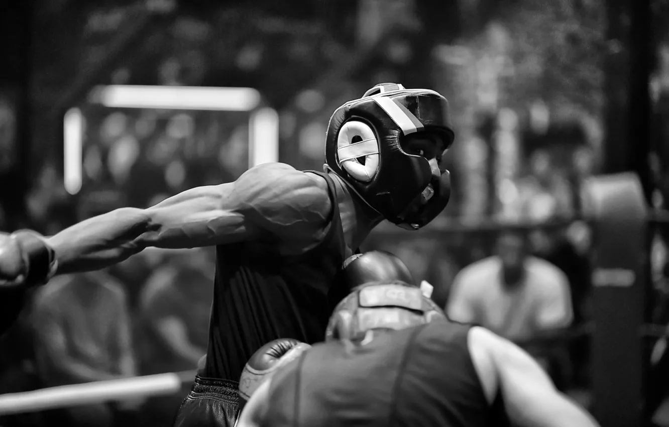 Фото обои сила, бокс, удар