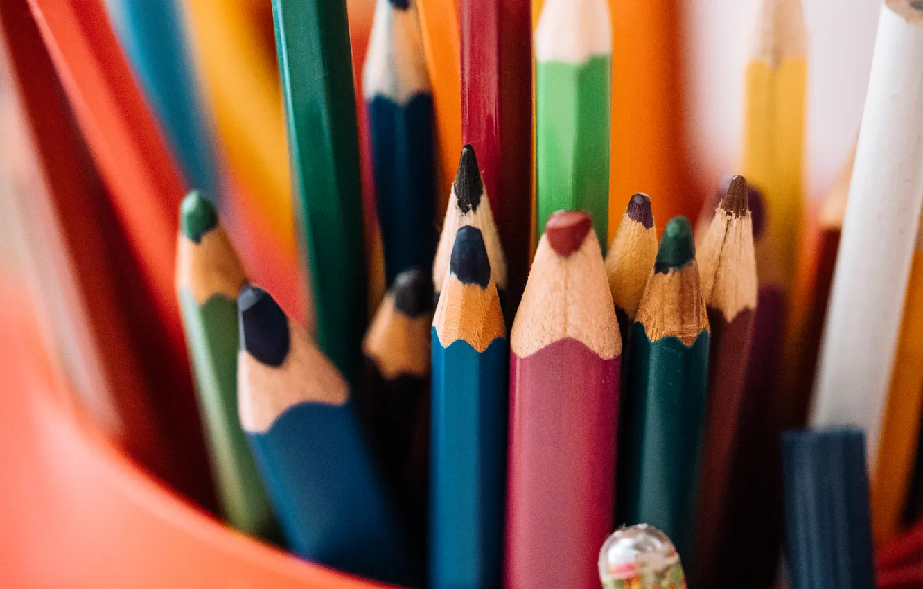 Фото обои colors, variety, pencils
