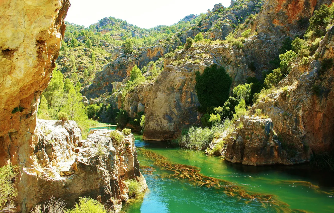 Фото обои скала, река, скалы, Испания, Spain, деревья., Cuenca