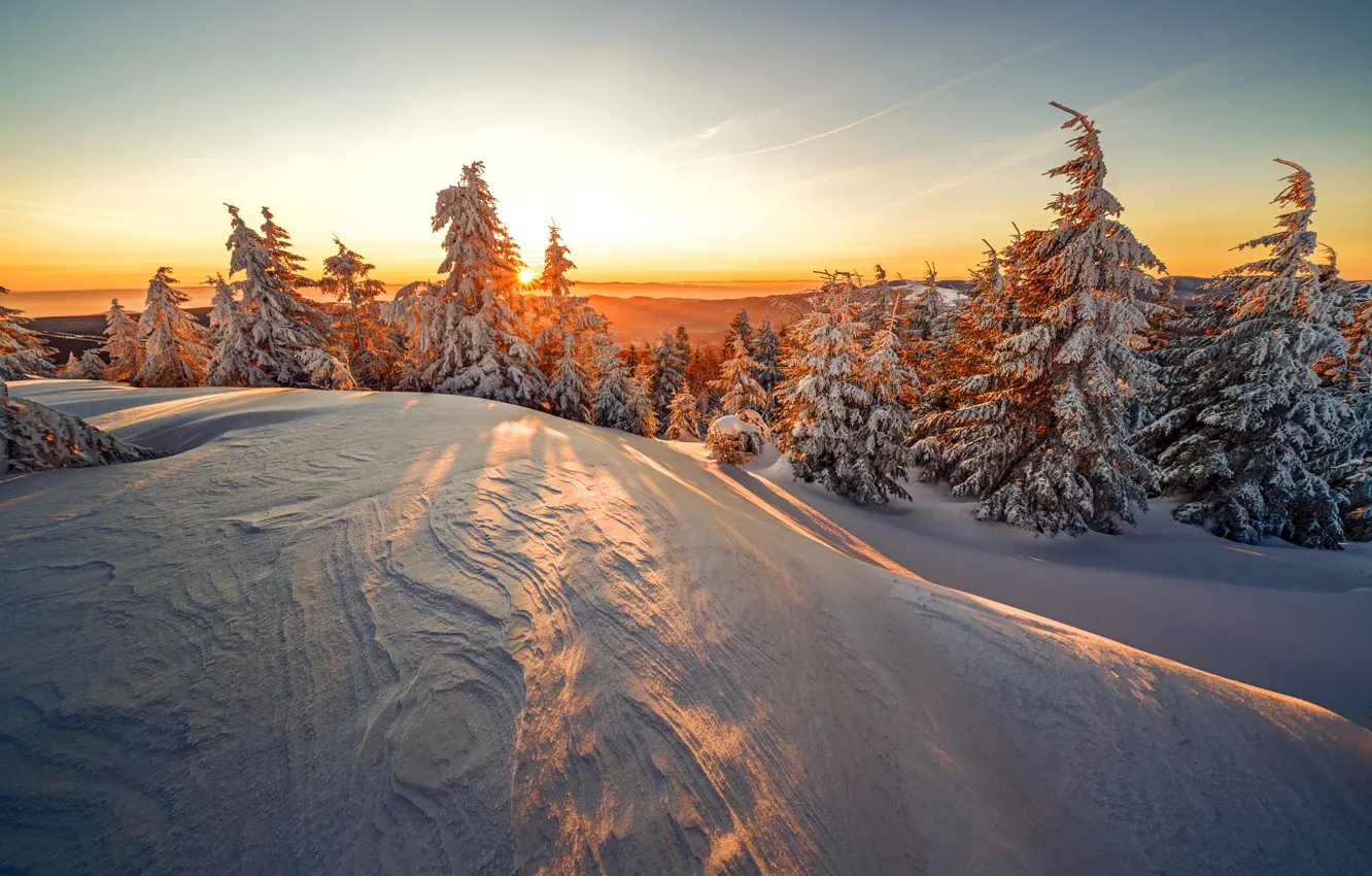 Фото обои зима, лес, небо, солнце, свет, снег, природа, рассвет