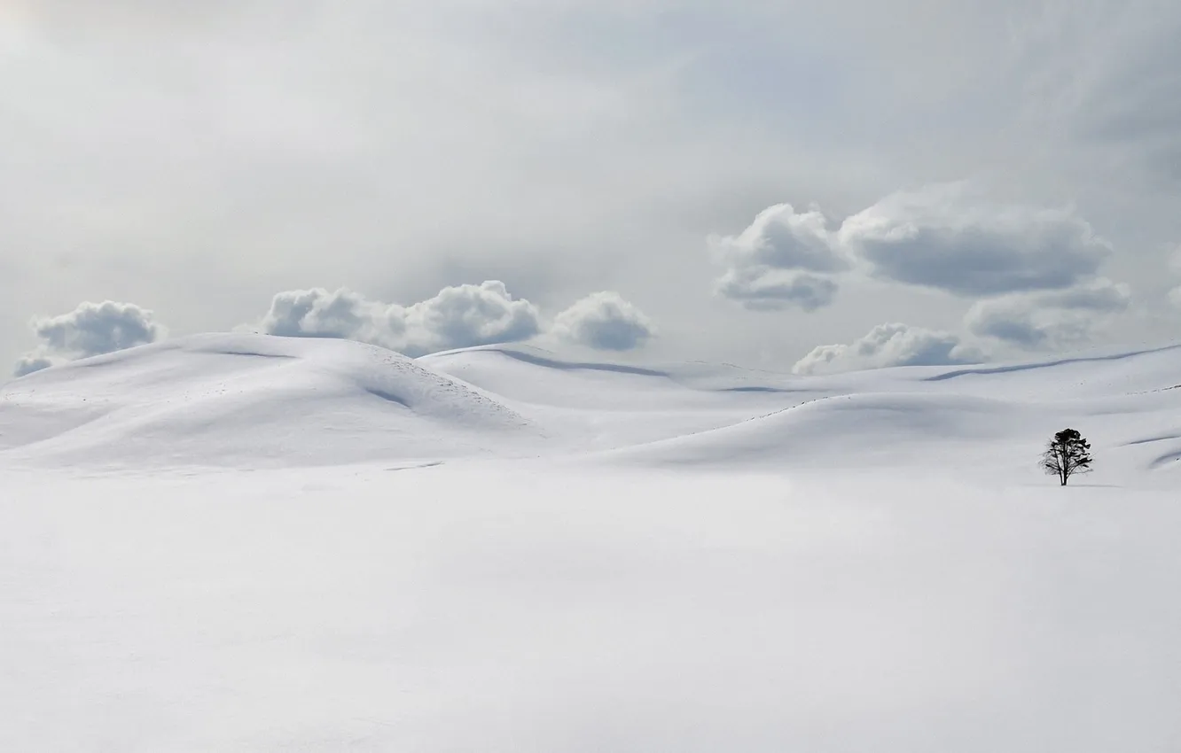 Фото обои холод, зима, облака, снег, дерево, сугробы