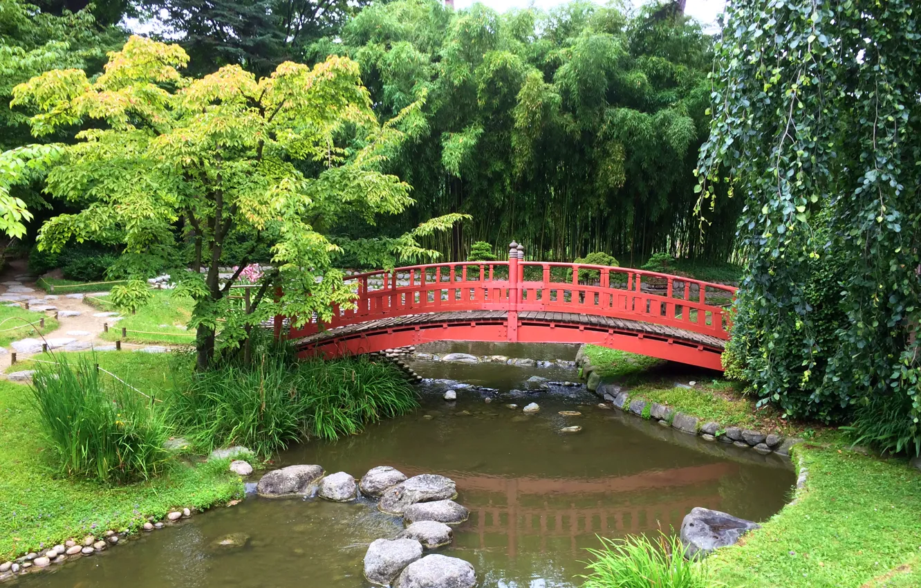 Фото обои деревья, мост, пруд, камни, Франция, Париж, сад, Japanese garden