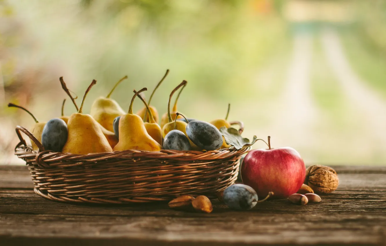 Фото обои корзина, яблоко, груша, фрукты, орешки, слива