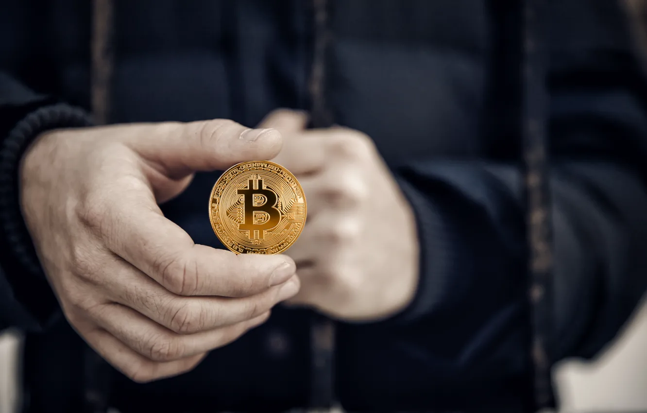 Фото обои money, hand, bitcoin