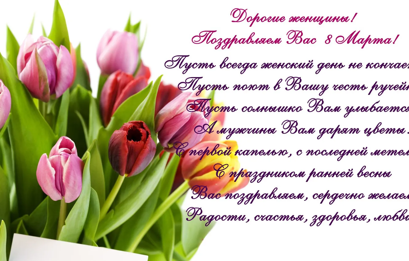 Фото обои тюльпаны, 8 марта, tulips, поздравление, spring, женский день