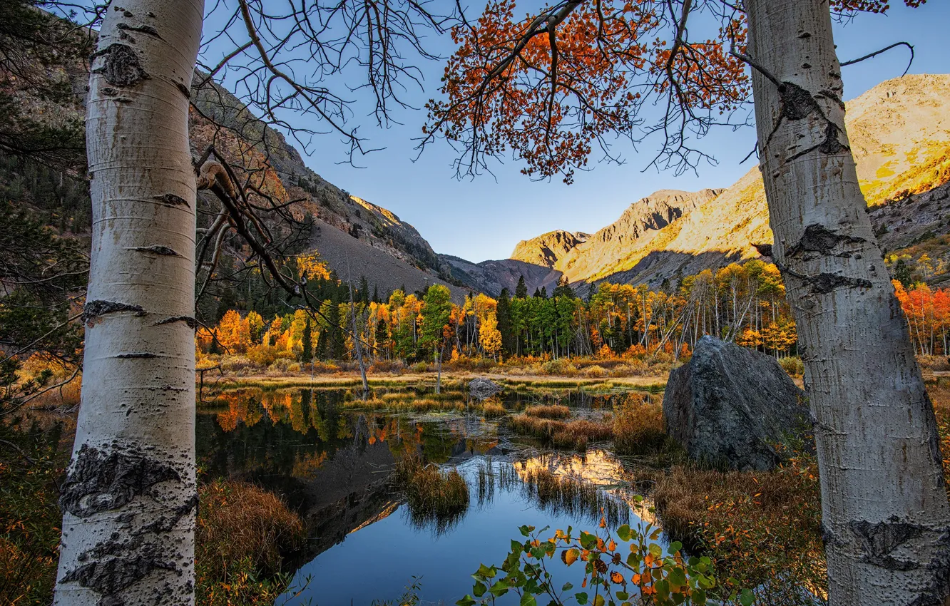 Фото обои осень, лес, отражения, деревья, пейзаж, горы, природа, Калифорния