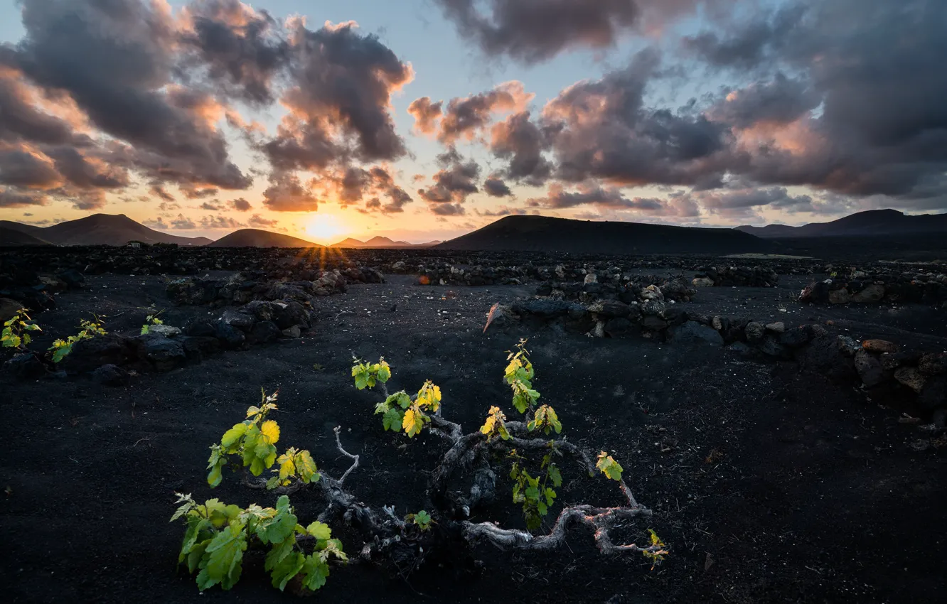 Фото обои Spain, Canary Islands, Lanzarote, El Morro de Uga