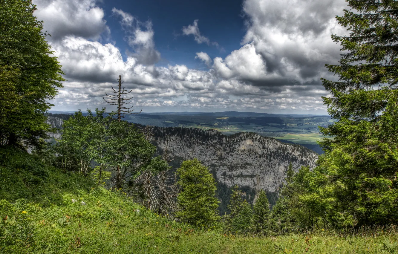 Фото обои деревья, пейзаж, природа, скалы, HDR