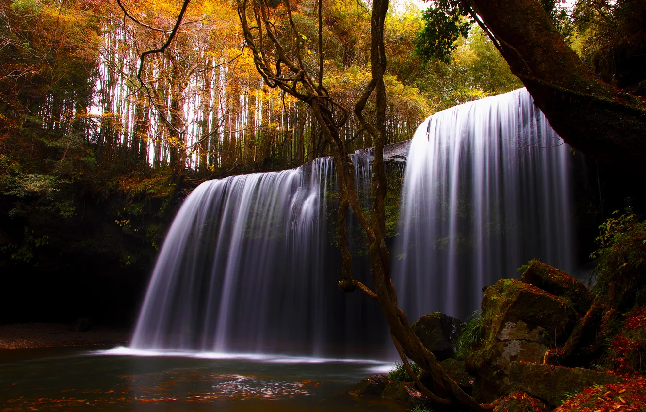 Фото обои осень, деревья, природа, река, водопад