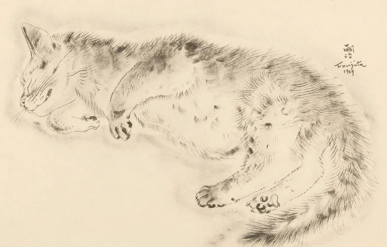 Фото обои кот, спит, лежит, клык, 1929, улыбаеться, suguharu Foujita