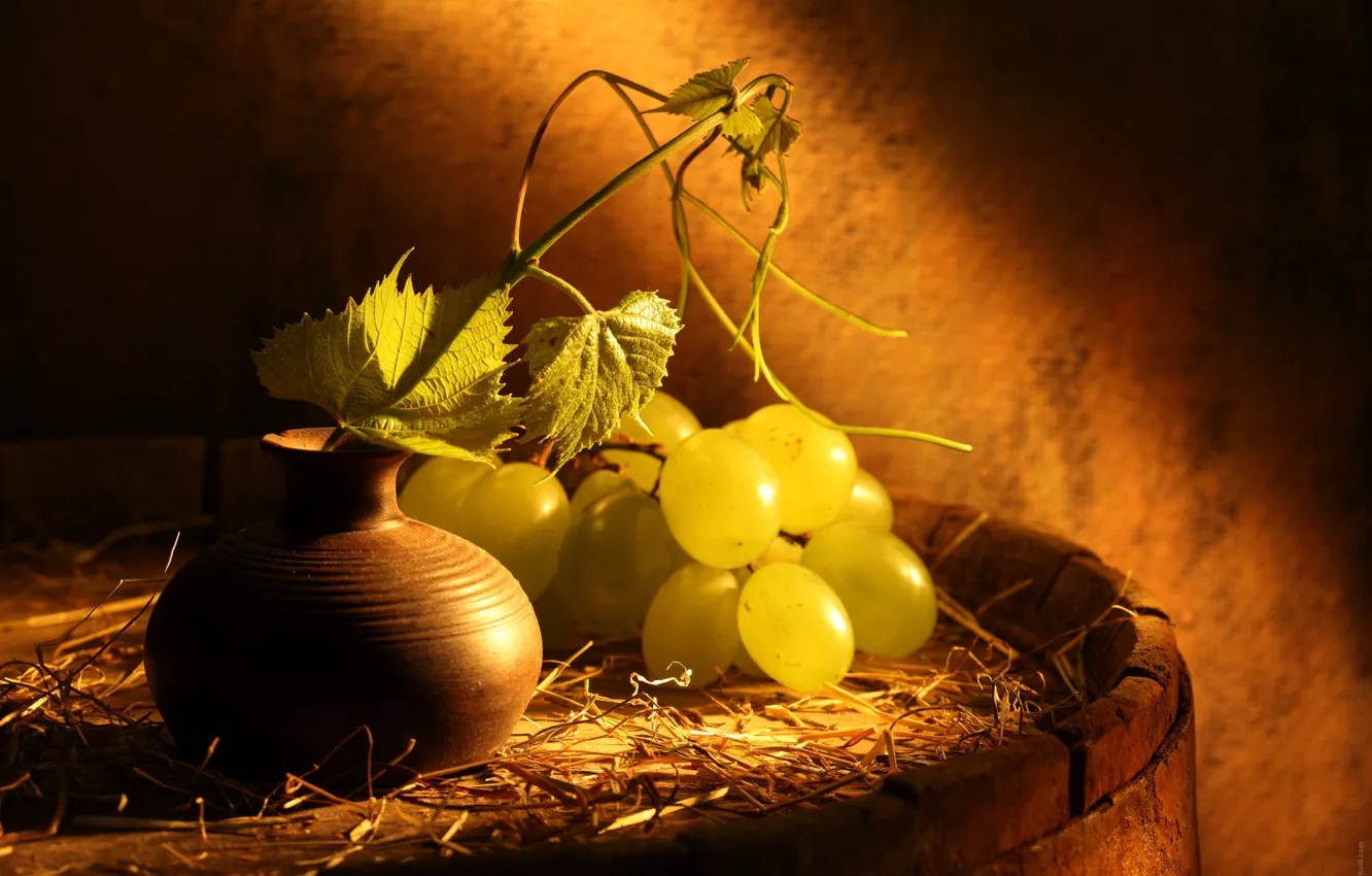 Фото обои виноград, гроздь, кувшин, бочка