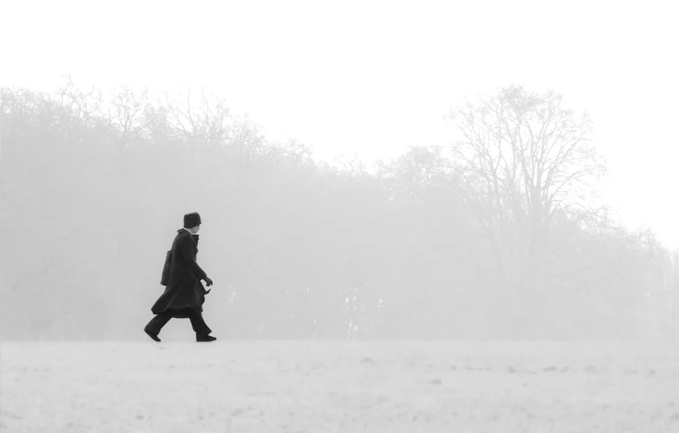 Фото обои зима, поле, деревья, туман, силуэт, мужчина, ходьба, шаги