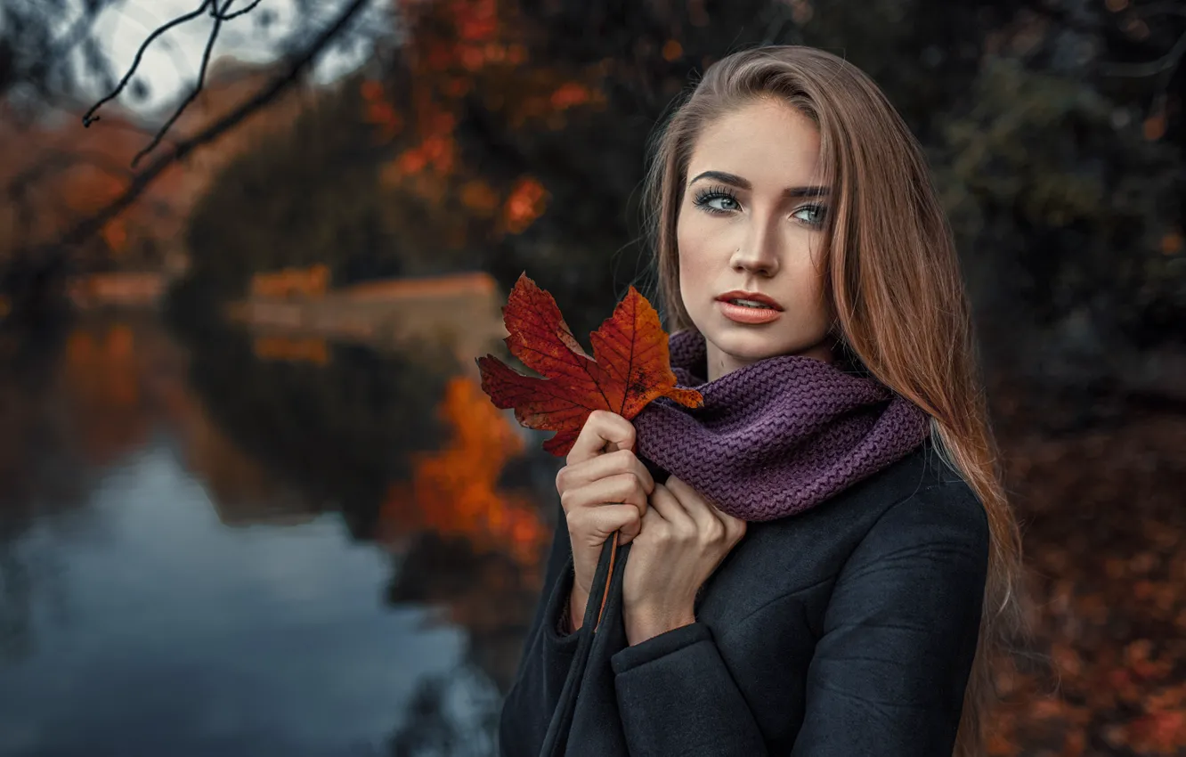 Фото обои осень, листья, девушка, боке