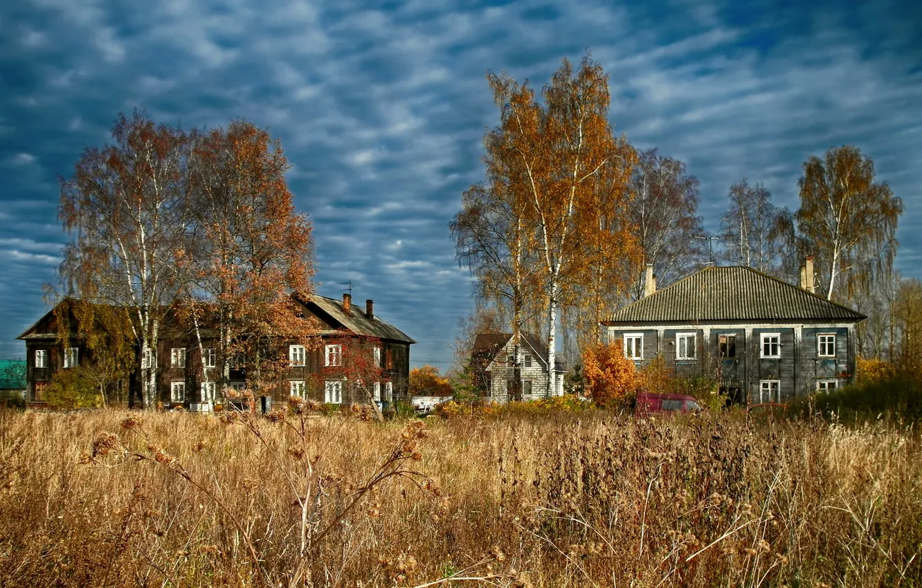 Фото обои осень, дома, деревянные, репейник, дубровка, невская