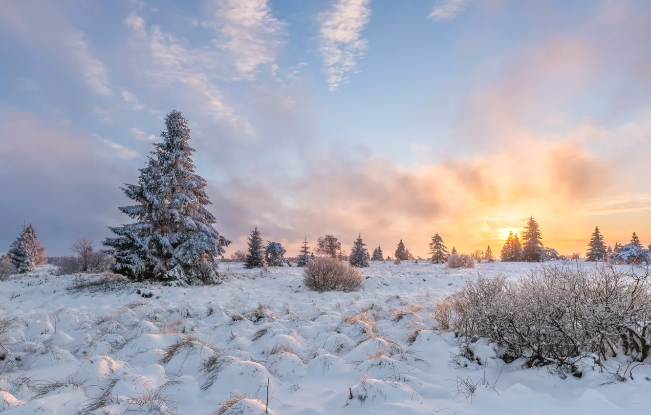 Фото обои зима, поле, закат