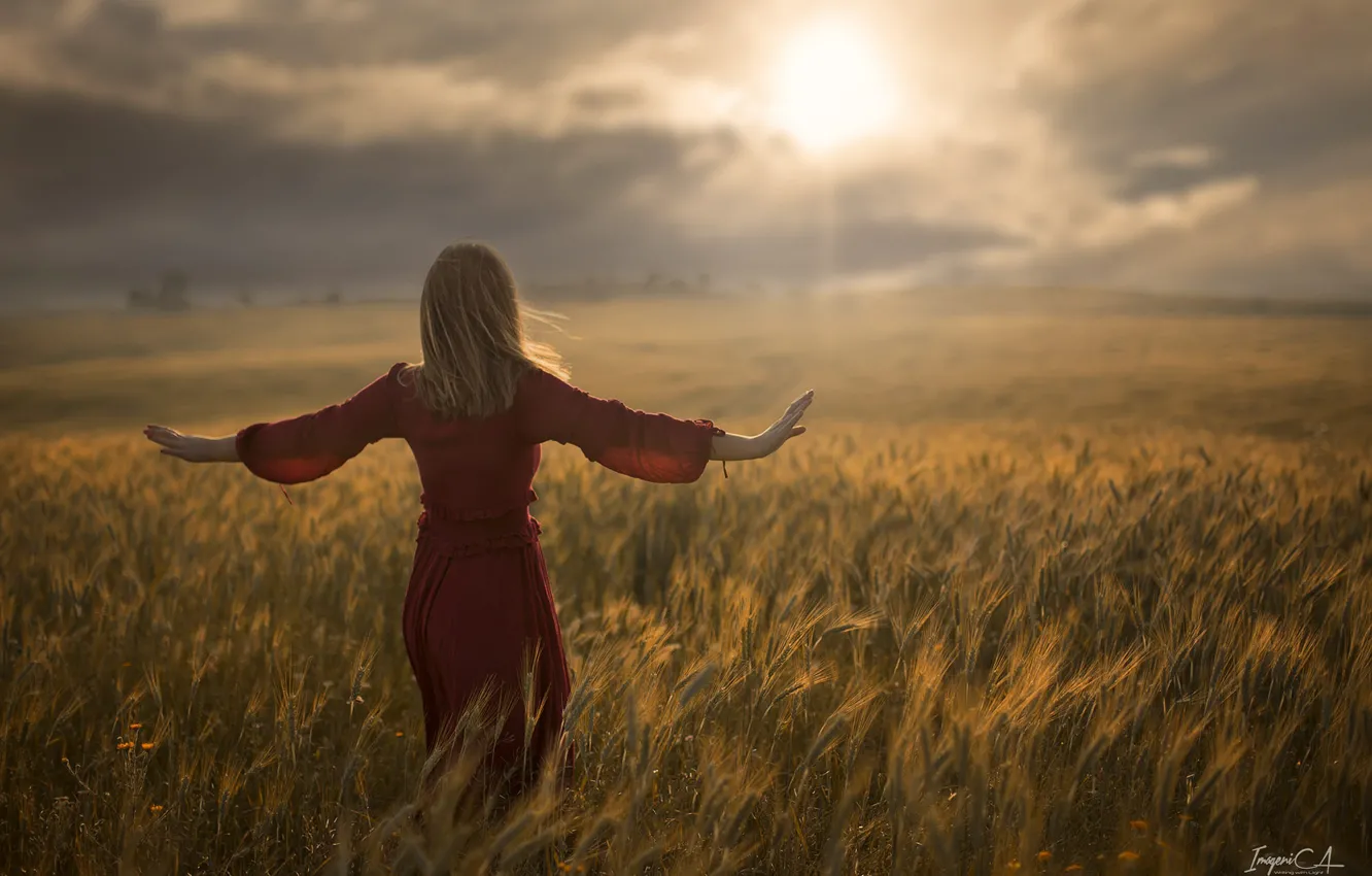 Фото обои пшеница, поле, девушка, солнце, ветер, спина, Antonio A Conde