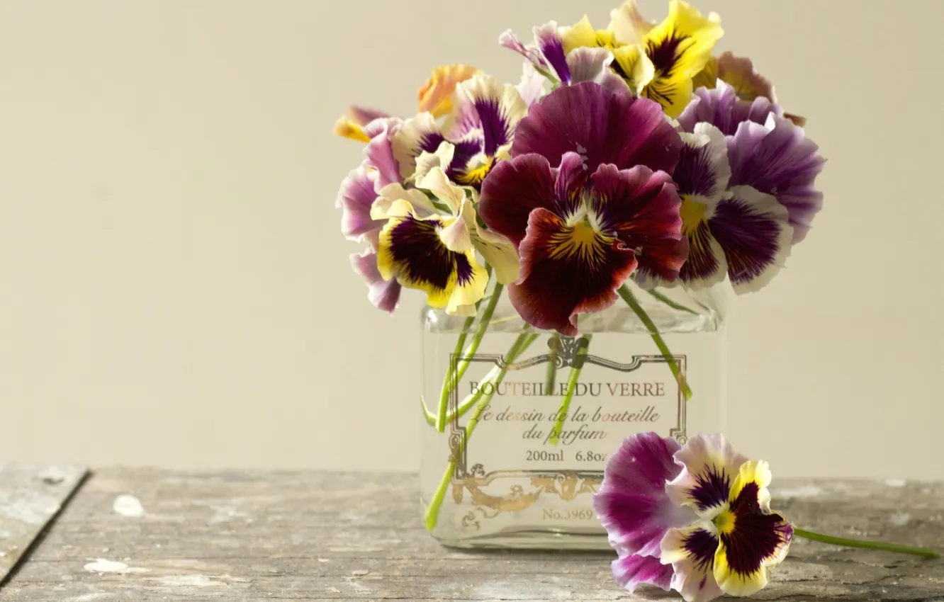 Фото обои цветы, букет, анютины глазки, ваза. лепестки