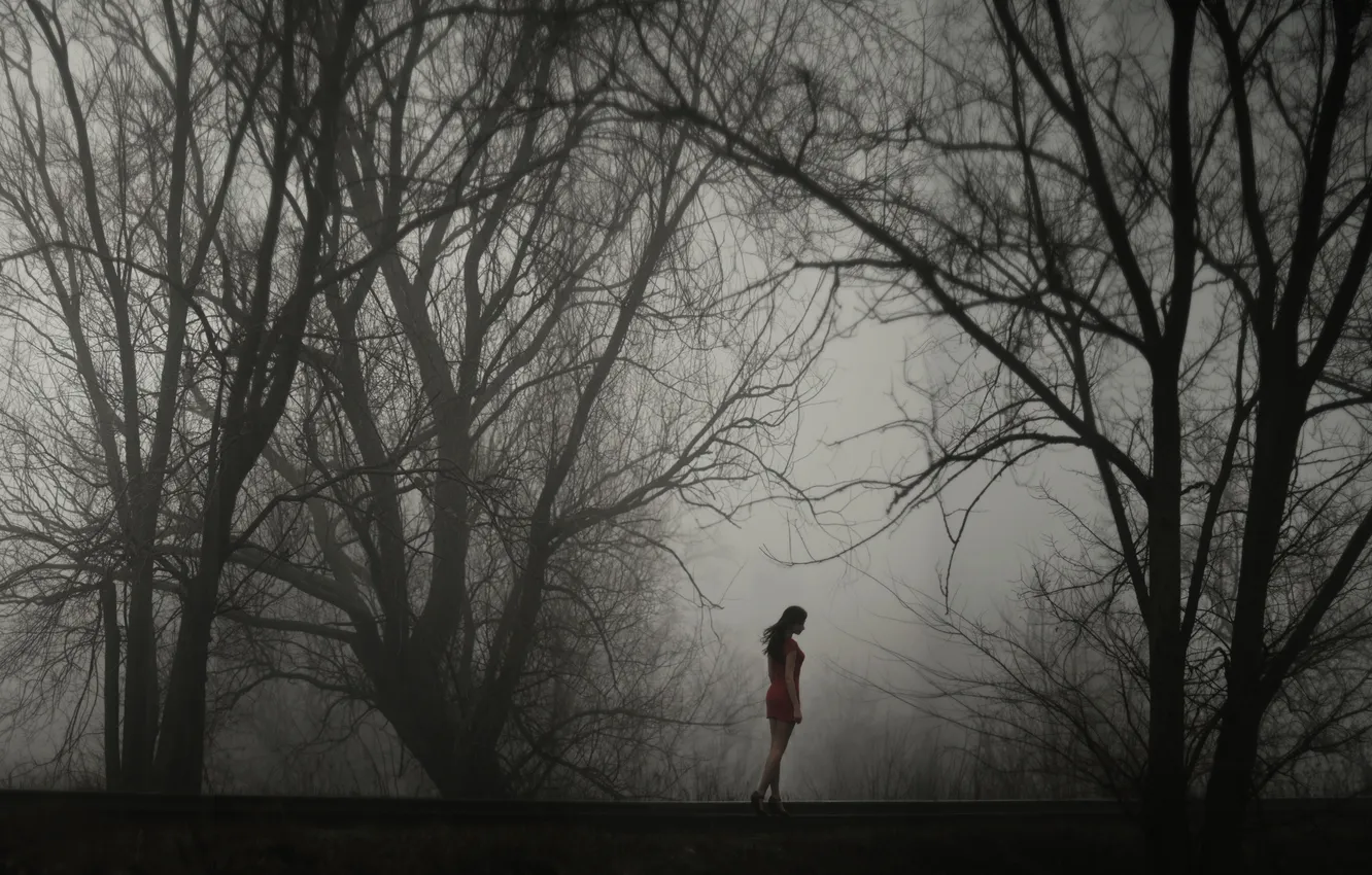 Фото обои девушка, деревья, туман, одиночество