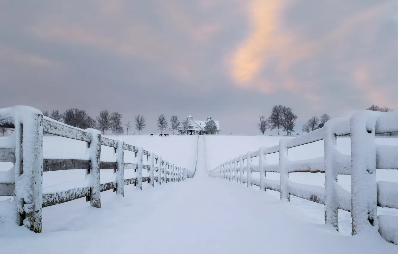 Фото обои дорога, снег, дом, забор