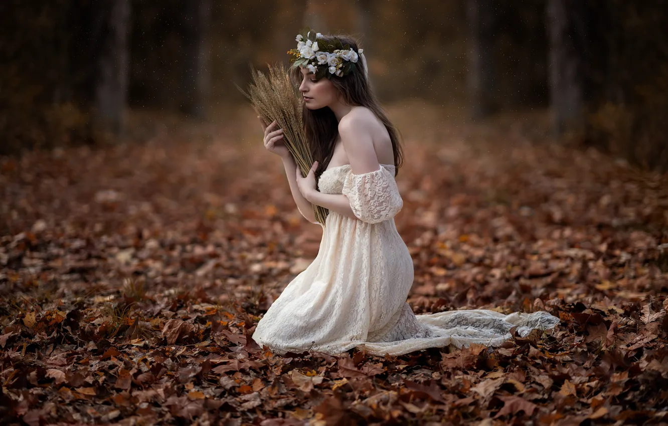 Фото обои осень, листья, девушка, платье, колоски, венок, Sofía