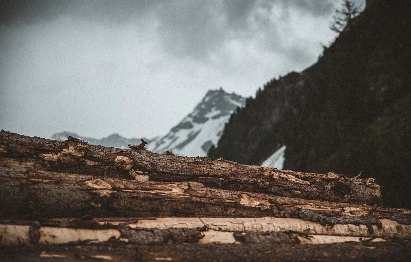 Фото обои Горы, Гора, Лес, Mountain, Mountains, Forest, Бревна, Logs