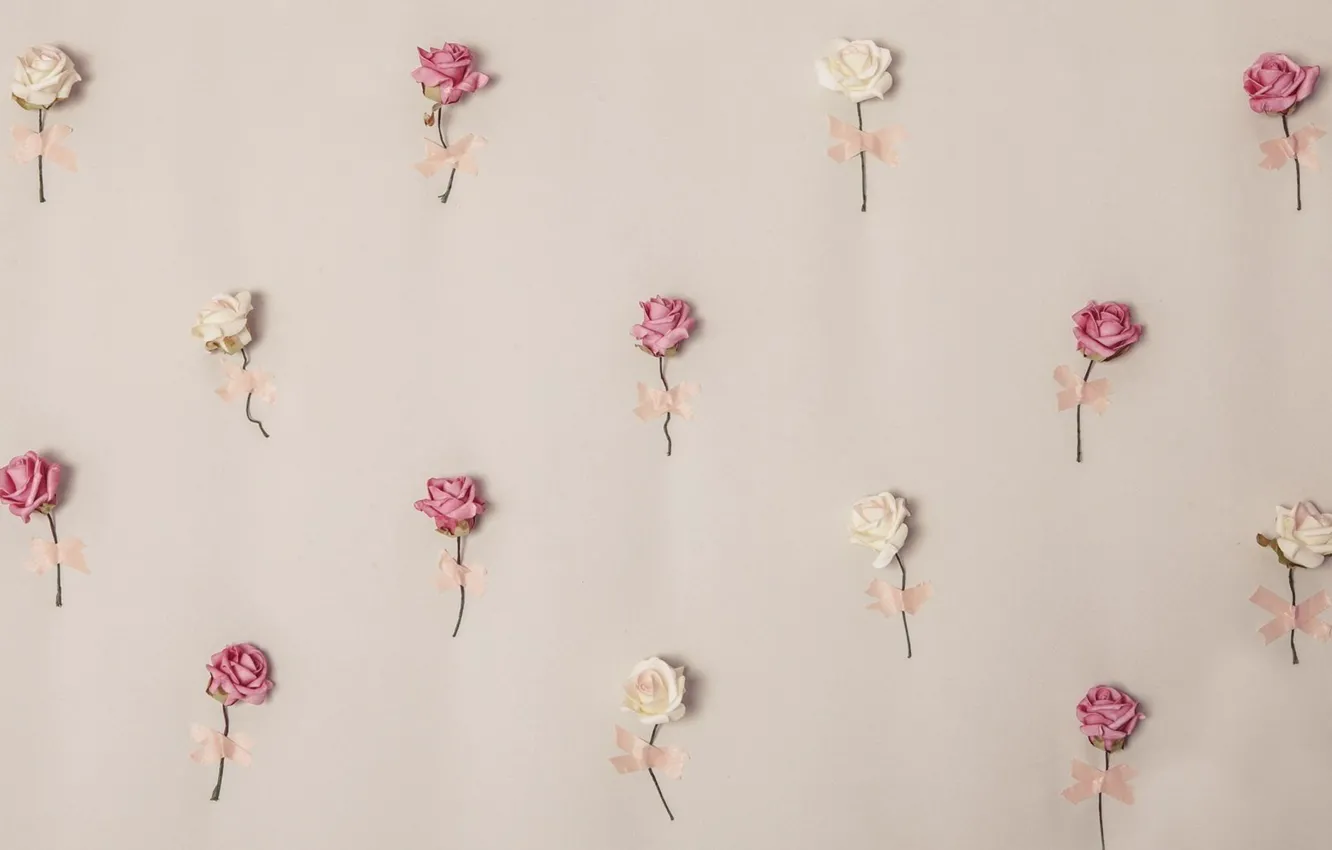 Фото обои цветы, розы, лепестки, розовые, белые, бутоны, декор