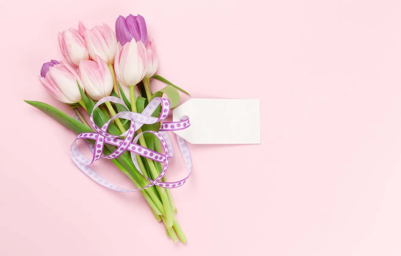 Фото обои цветы, тюльпаны, розовый фон, 8 марта, pink, flowers, background, tulips