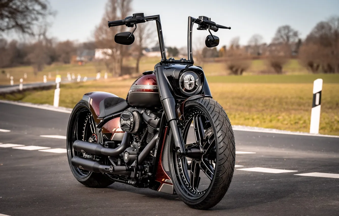 Фото обои red, Tuning, force, harley-davidson, customized, Thunderbike, softial, custombikes