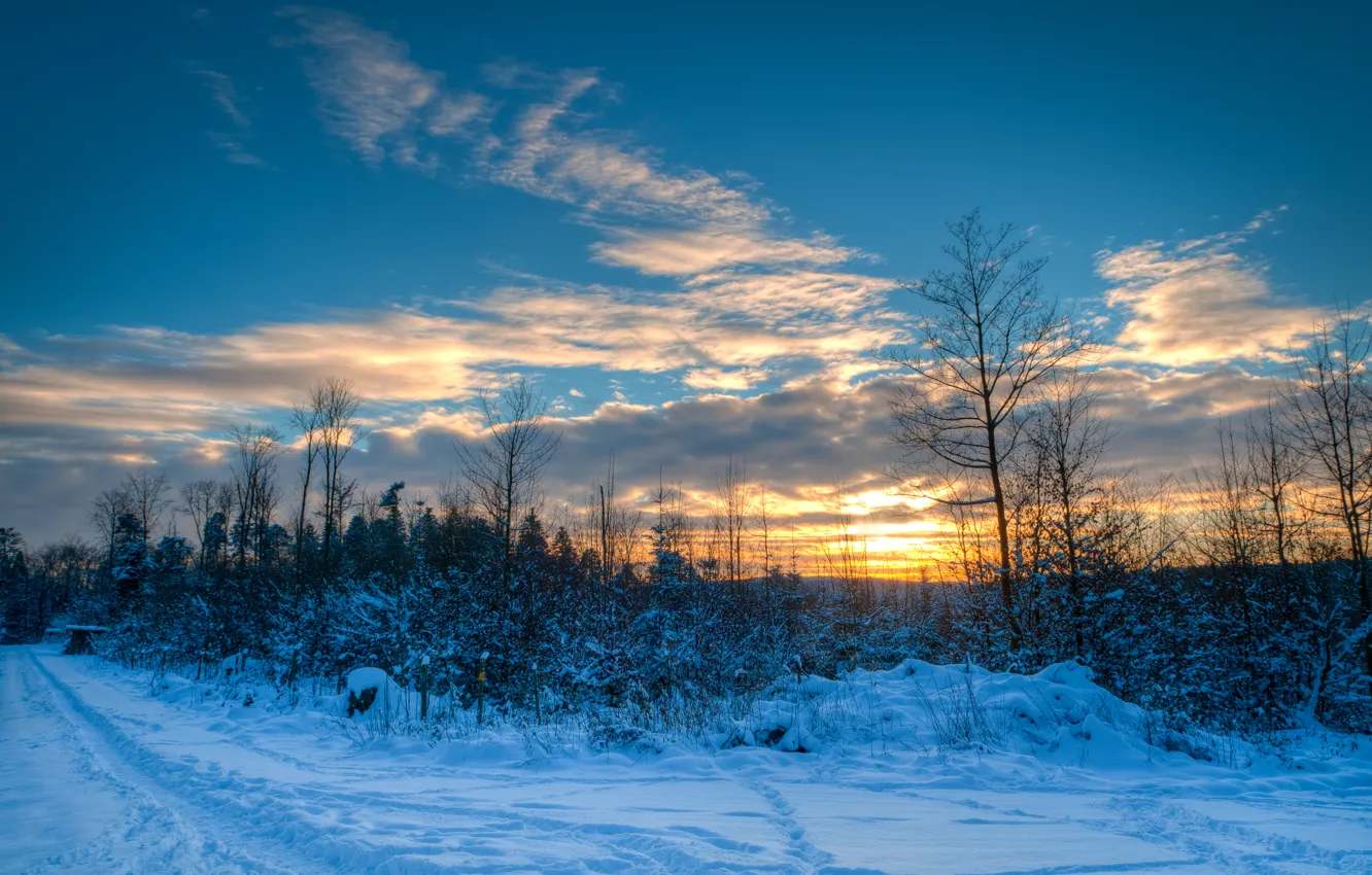 Фото обои зима, дорога, небо, облака, снег, деревья, закат, природа