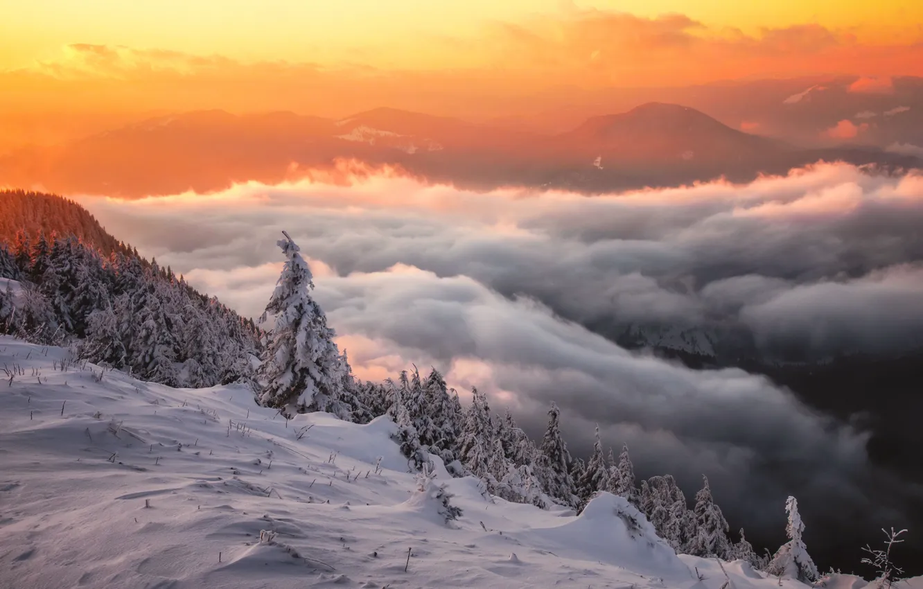 Фото обои зима, облака, снег, деревья, пейзаж, закат, горы, природа