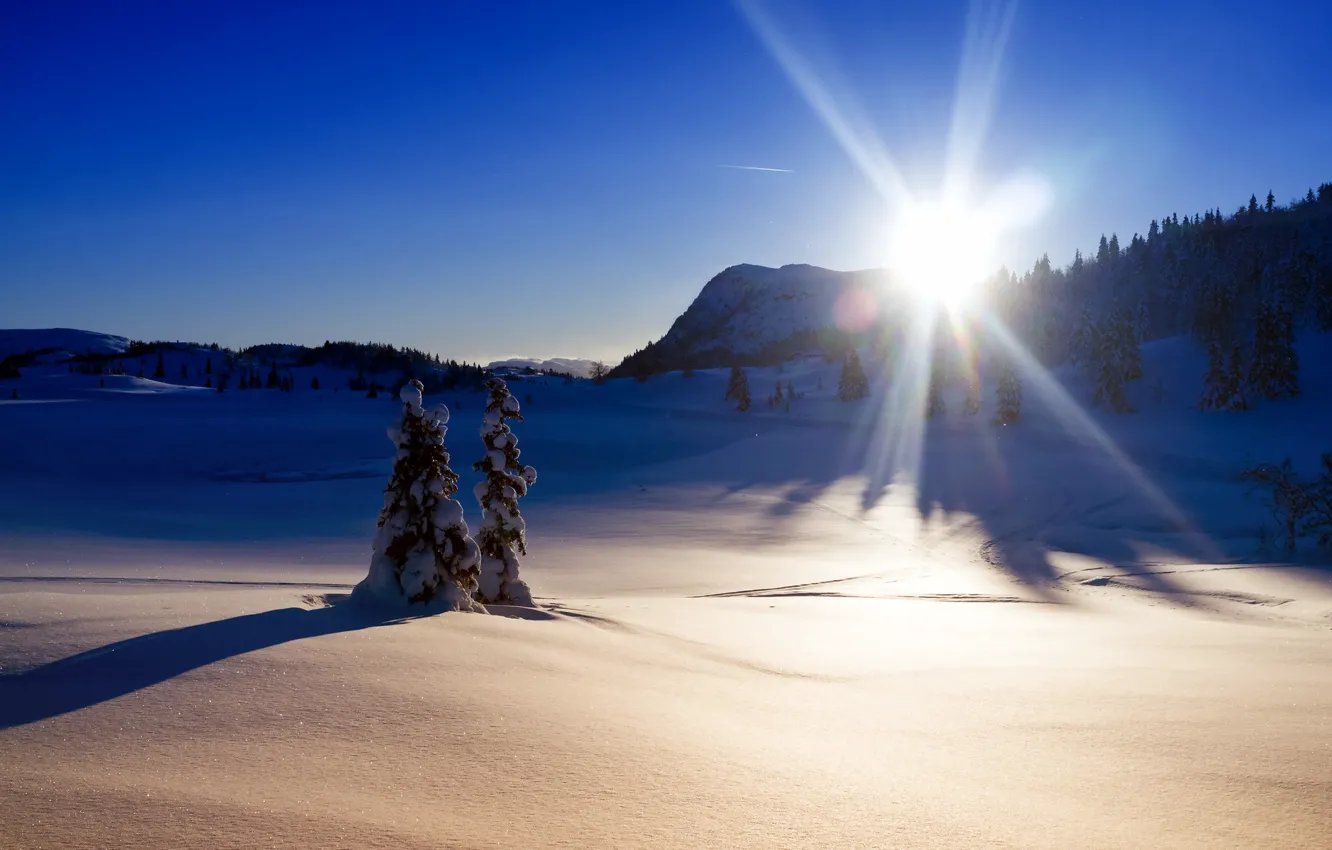 Фото обои зима, свет, снег, пейзаж