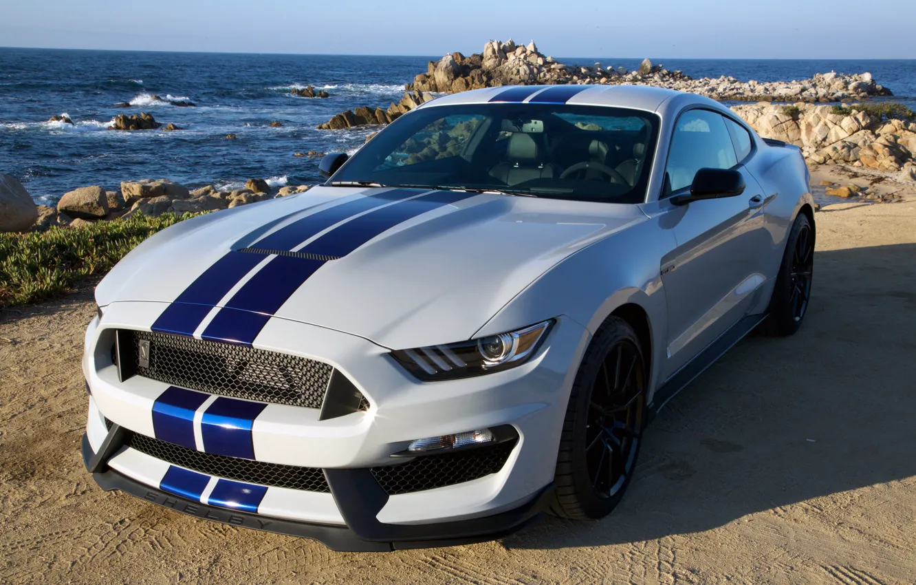 Фото обои Mustang, Ford, Shelby, мустанг, форд, GT350, 2015