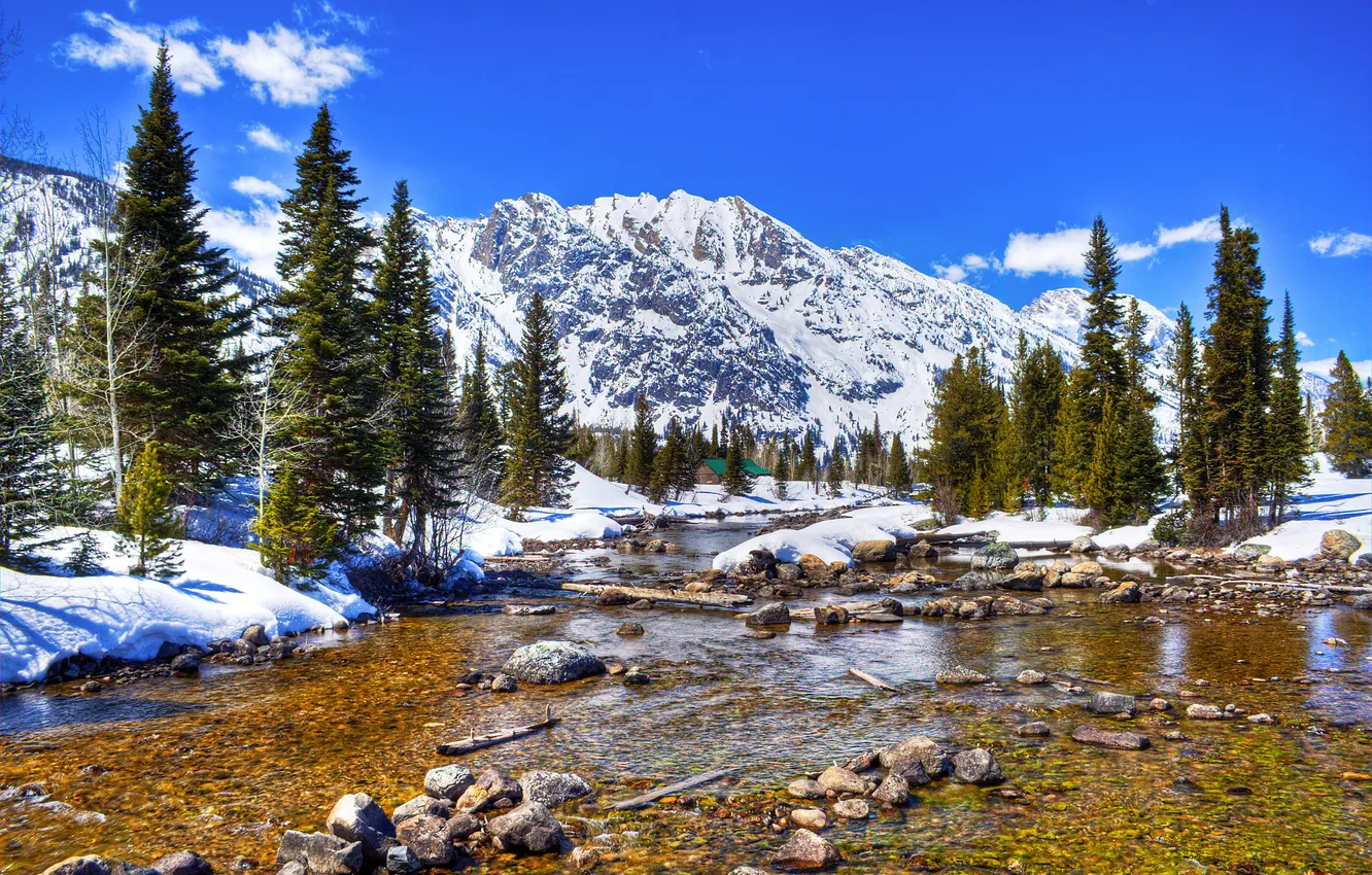 Фото обои зима, небо, снег, деревья, горы, река, камни, сша