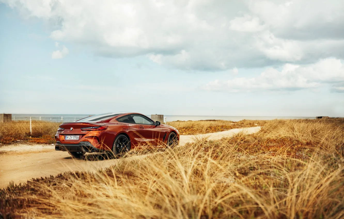 Фото обои трава, побережье, купе, BMW, Coupe, 2018, 8-Series, тёмно-оранжевый