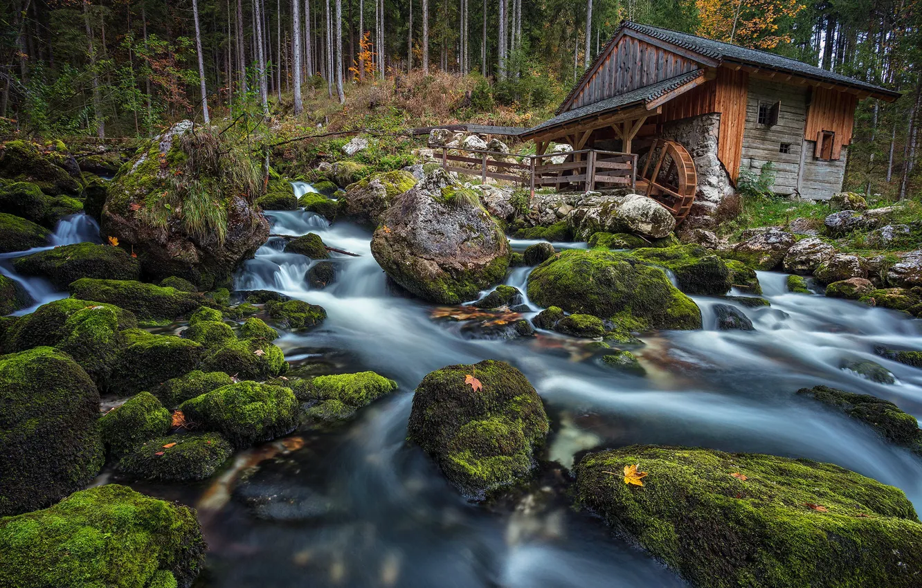 Фото обои лес, ручей, камни, мох, Австрия, мельница, водяная мельница, Austria