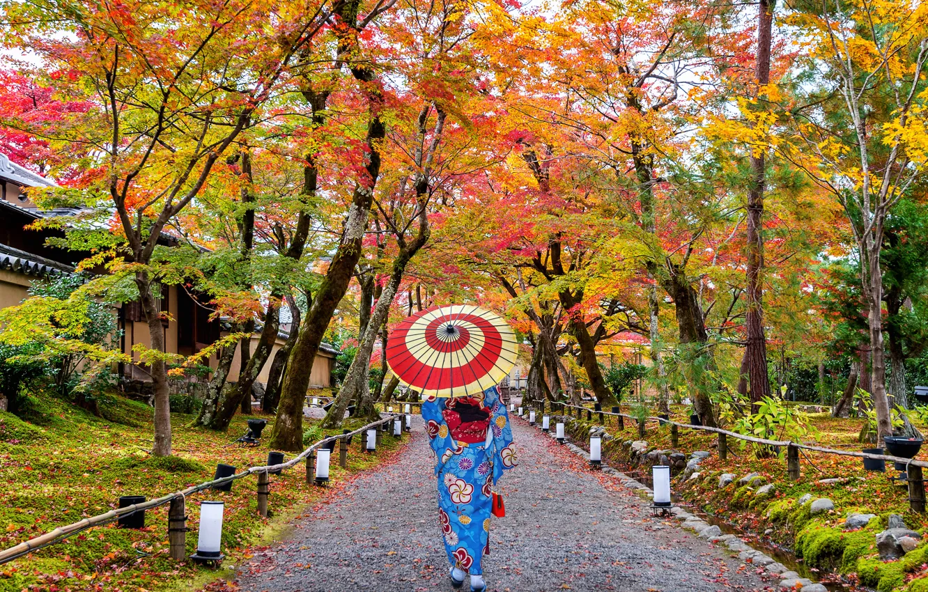 Фото обои осень, листья, девушка, деревья, парк, colorful, Япония, Japan
