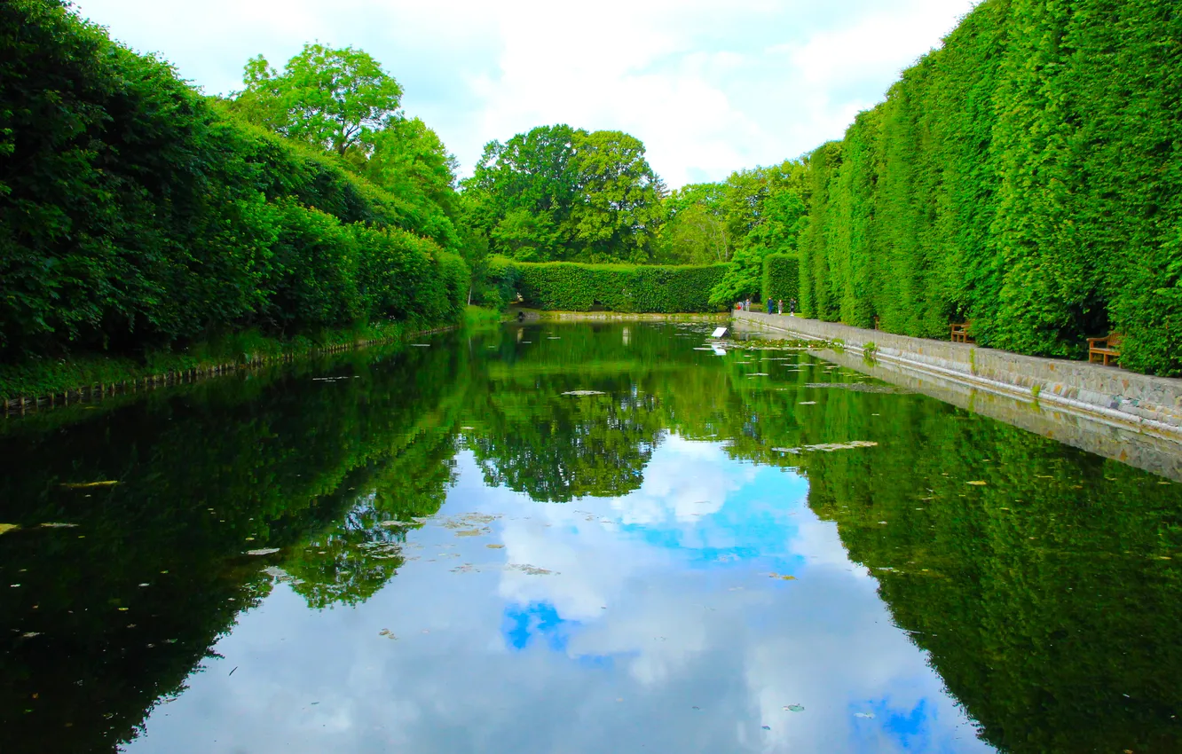 Фото обои water, park, plants, pond
