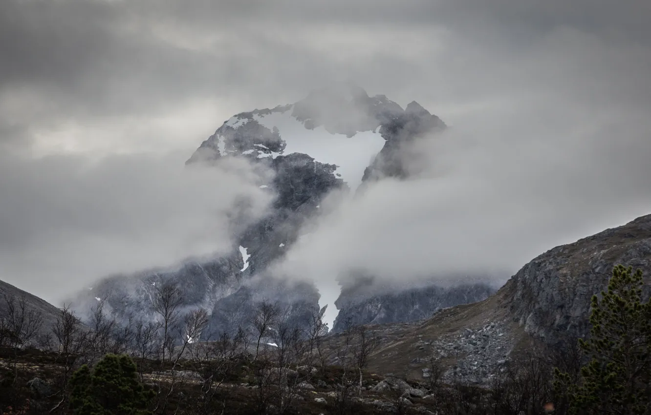 Фото обои небо, деревья, природа, туман, скала, гора, Норвегия, Norway
